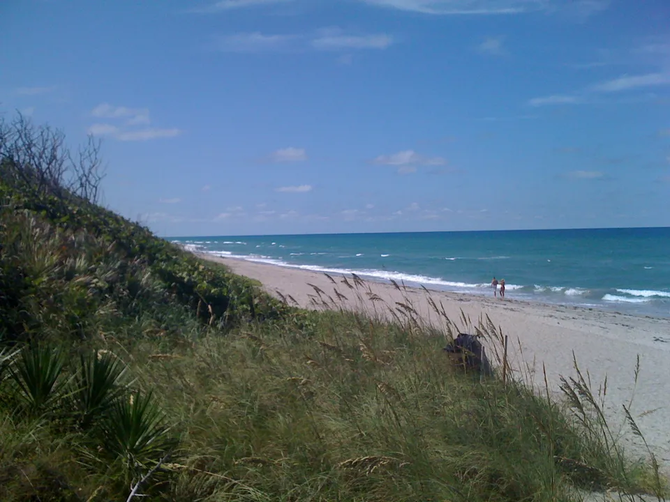 Jupiter Real Estate